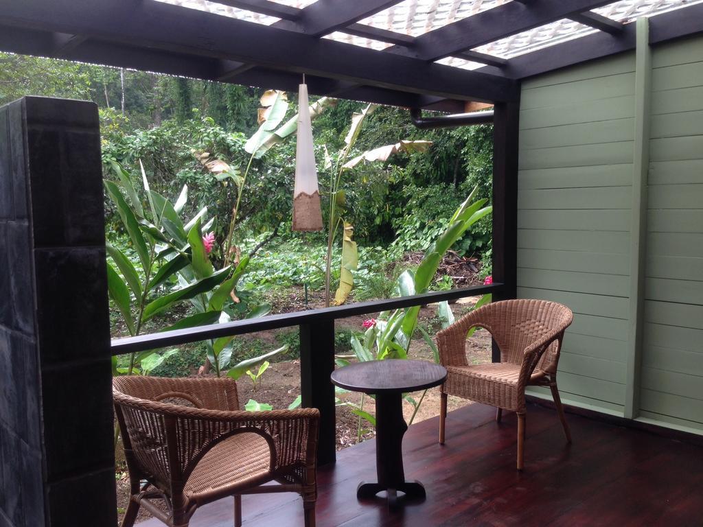 Island Plantation (Adults Only) Hotel La Gruta Room photo